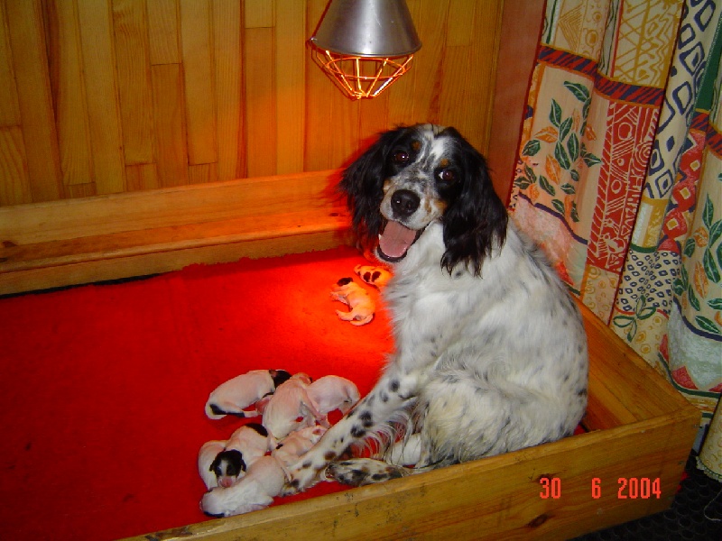 Publication : De sandie landes Auteur : De Sandie Landes