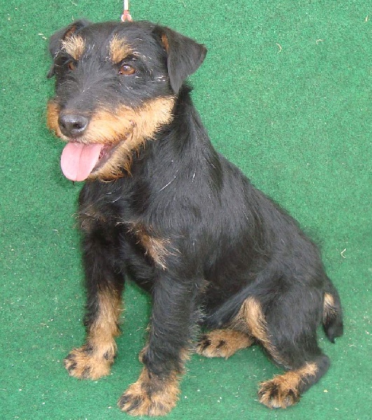 Publication : Des coteaux de porte tény Auteur : Guy