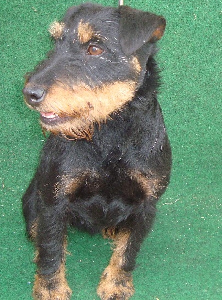 Publication : Des coteaux de porte tény Auteur : Guy