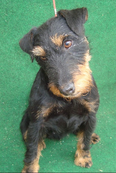 Publication : Des coteaux de porte tény Auteur : Guy