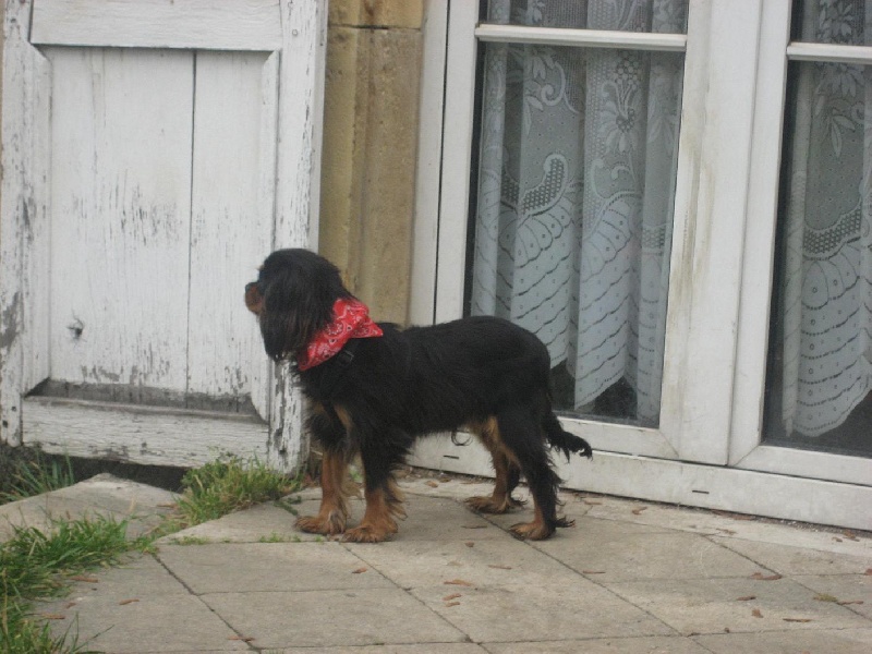 Publication : du Château du Bois d'Orly Auteur : Angélique CORNIL