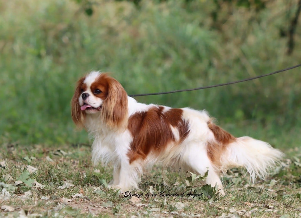 russkiy dzhekpot Vegas