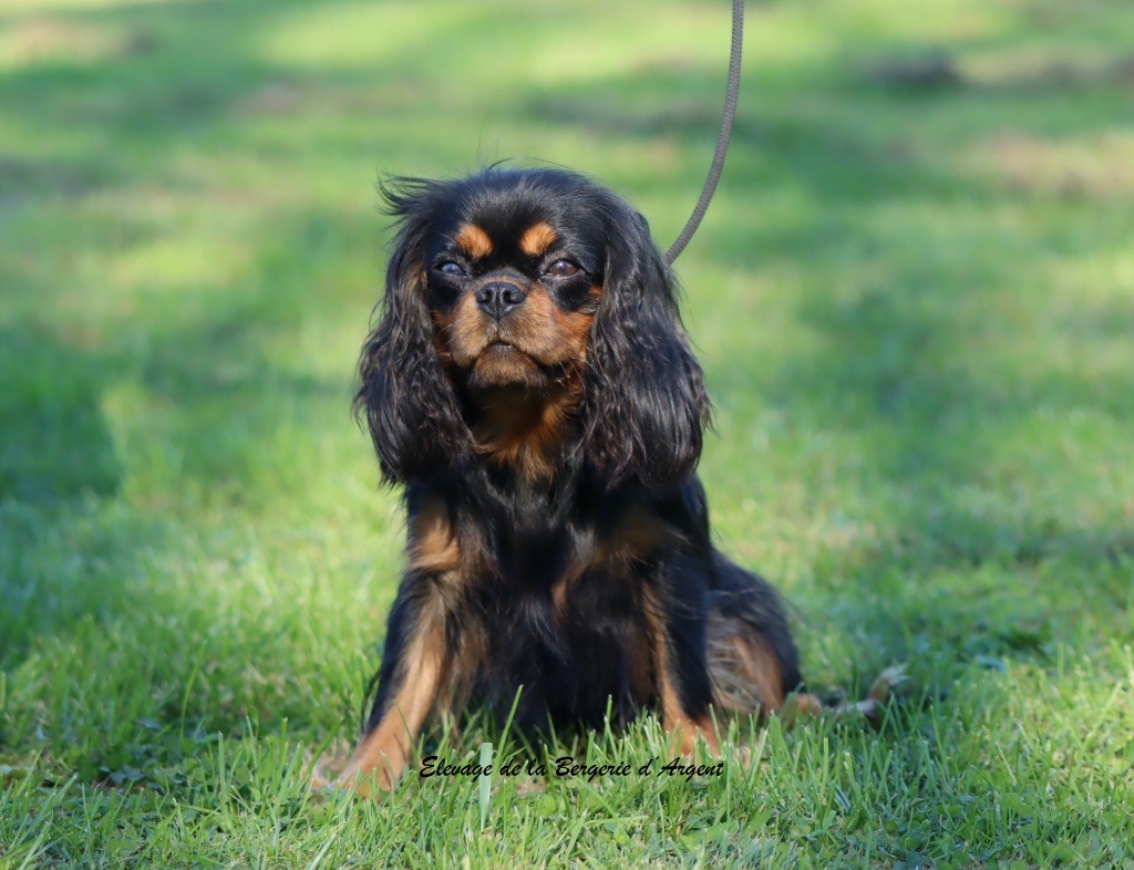 Une poupée de la bergerie d'argent