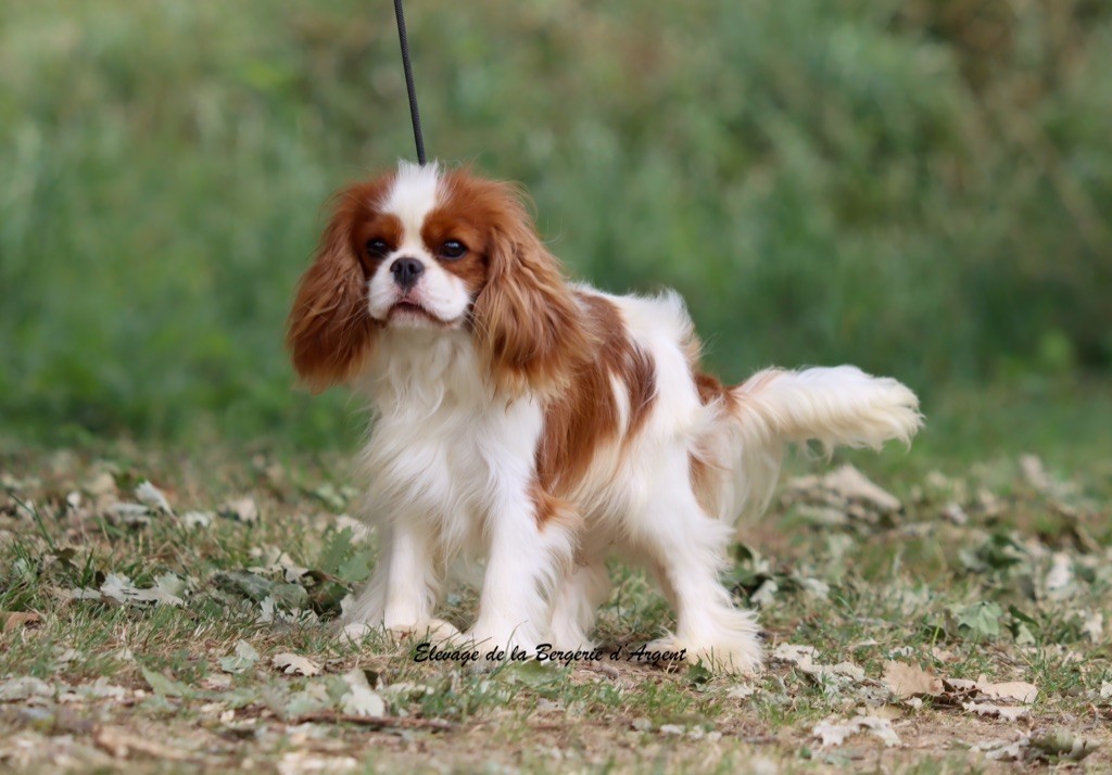 russkiy dzhekpot Vegas