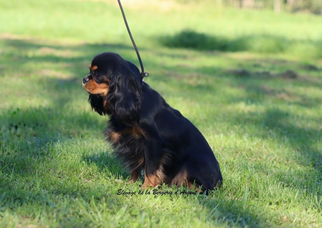 Une poupée de la bergerie d'argent