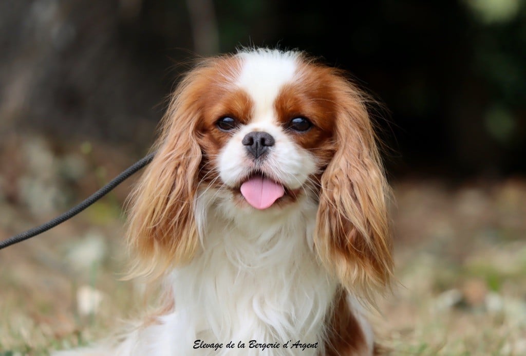 russkiy dzhekpot Vegas