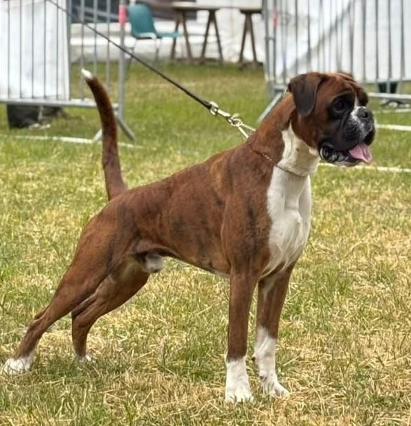 Unzo du Val D'Europe