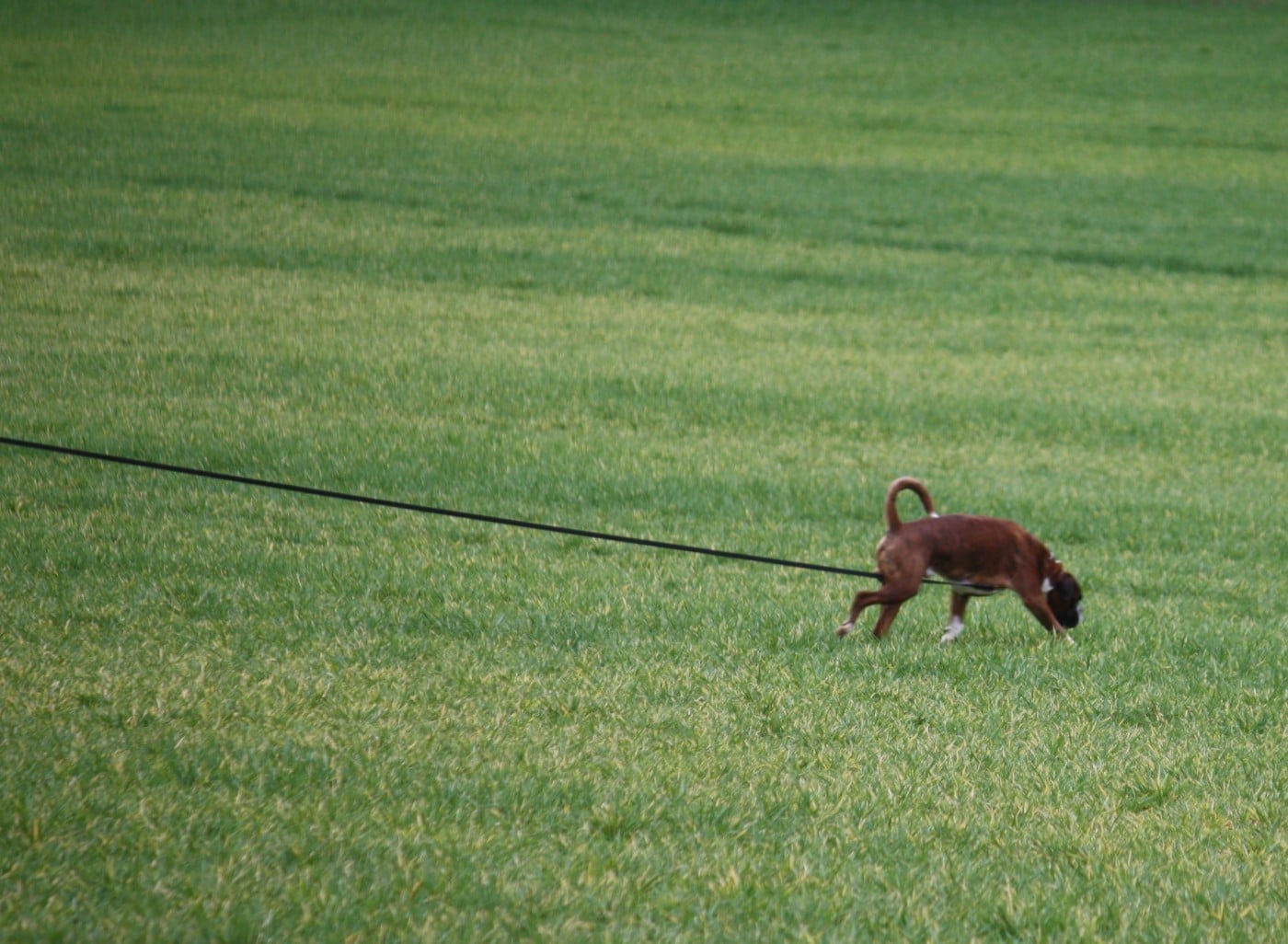 Unzo du Val D'Europe