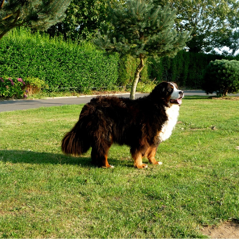 Publication : de la Plaine du Tôt