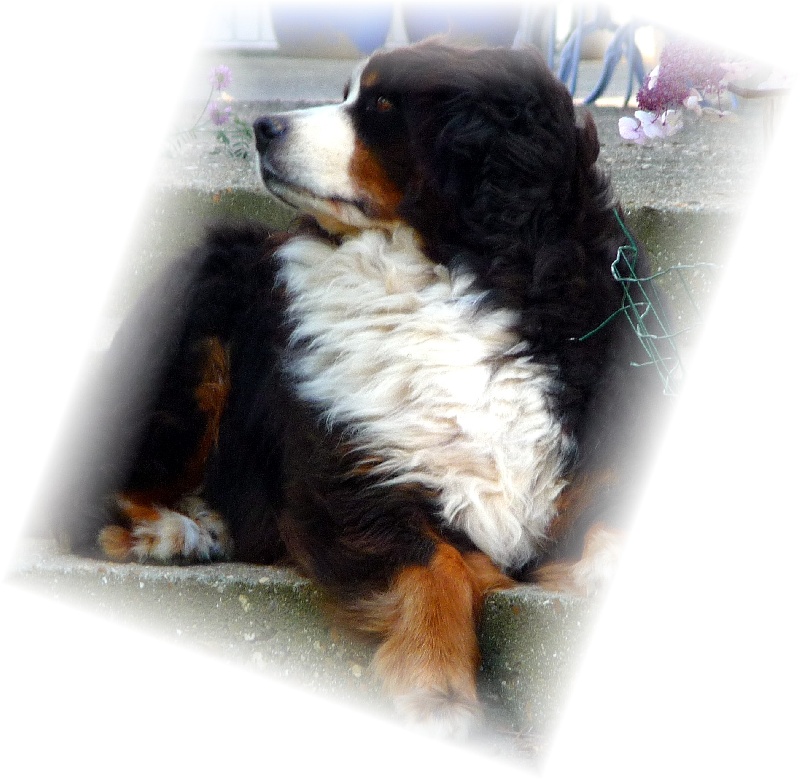 Publication : de la Plaine du Tôt