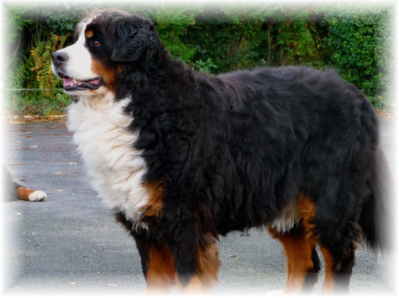 Publication : de la Plaine du Tôt