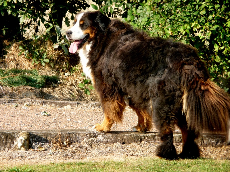 Publication : de la Plaine du Tôt
