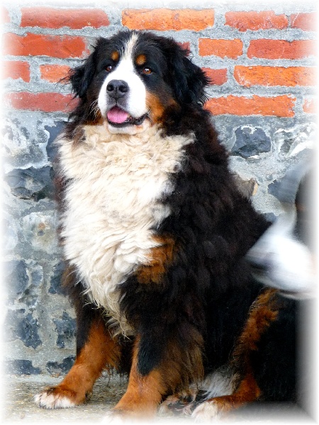 Publication : de la Plaine du Tôt