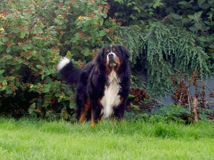 Publication : de la Plaine du Tôt