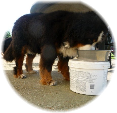 Publication : de la Plaine du Tôt