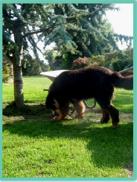 Publication : de la Plaine du Tôt