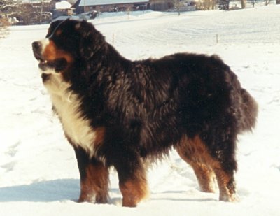 Publication : de la Plaine du Tôt