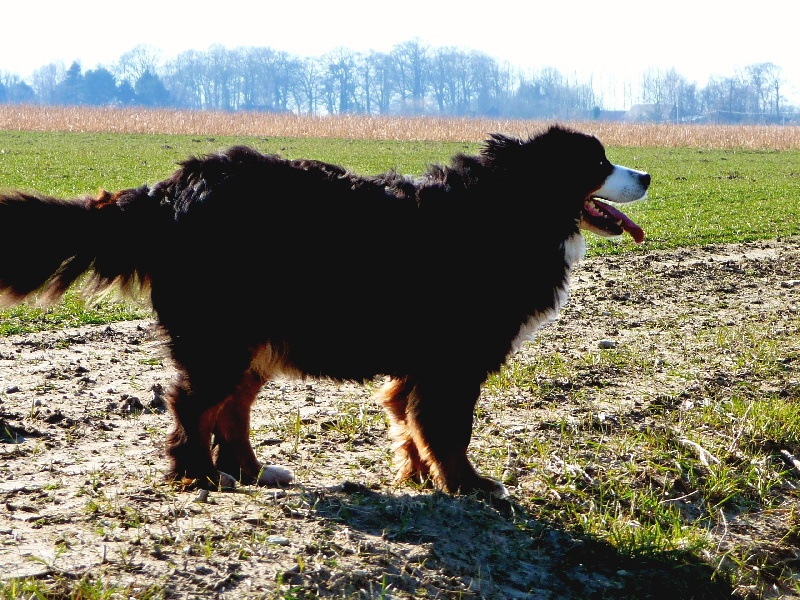 Publication : de la Plaine du Tôt