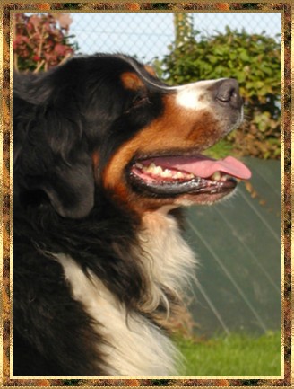 Publication : de la Plaine du Tôt