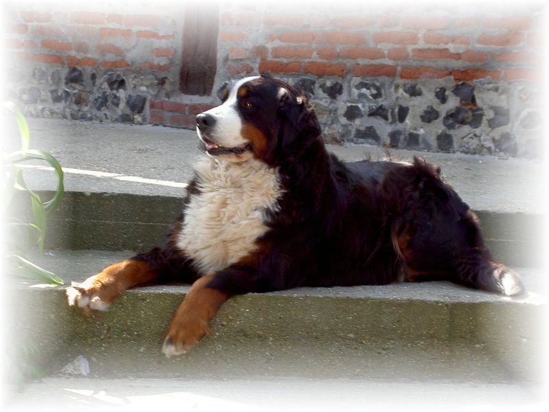 Publication : de la Plaine du Tôt