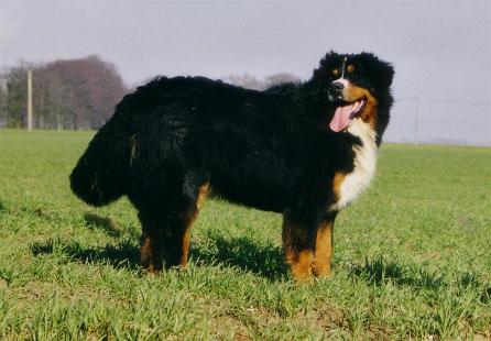 Publication : de la Plaine du Tôt