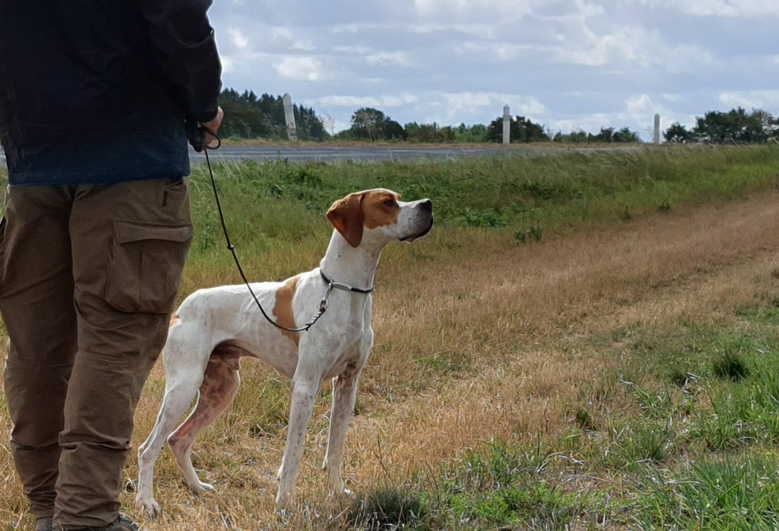 Publication : De la louviere en champagne Auteur : R.C.