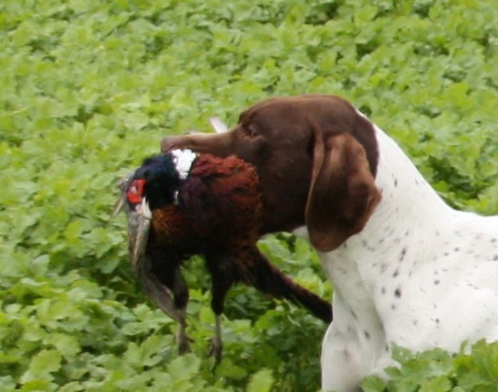 Publication : De la louviere en champagne Auteur : Jacques Paris