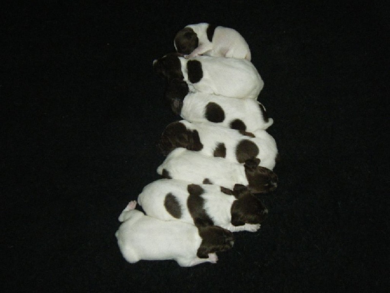 Publication : De la louviere en champagne Auteur : Jacques Paris