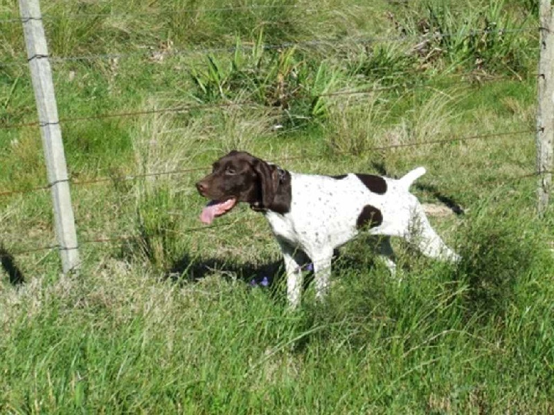 Publication : De la louviere en champagne Auteur : Jacques Paris