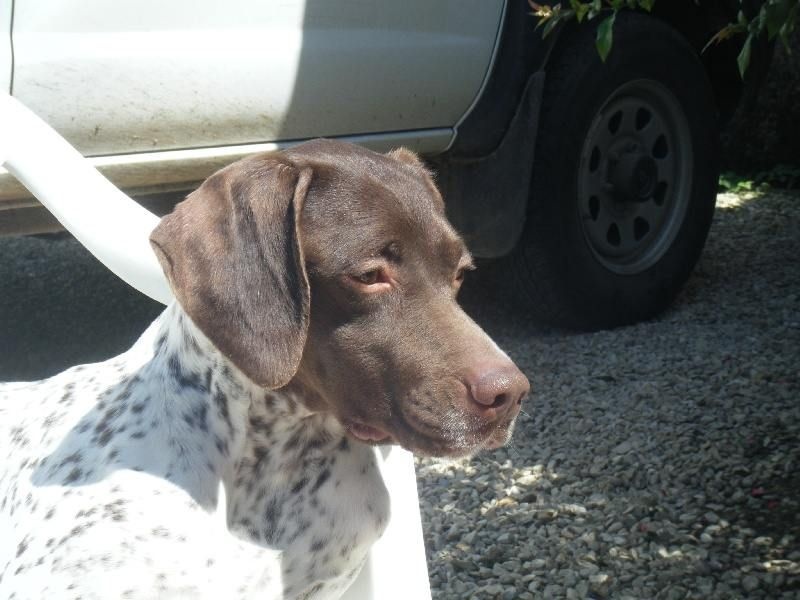 Publication : De la louviere en champagne Auteur : Jacques Paris