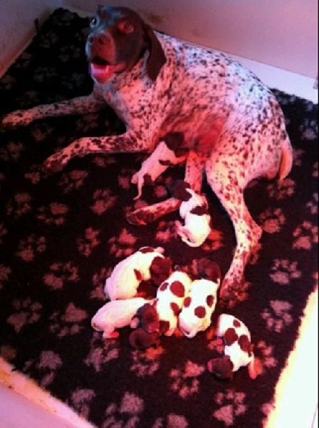 Publication : De la louviere en champagne Auteur : Jacques Paris