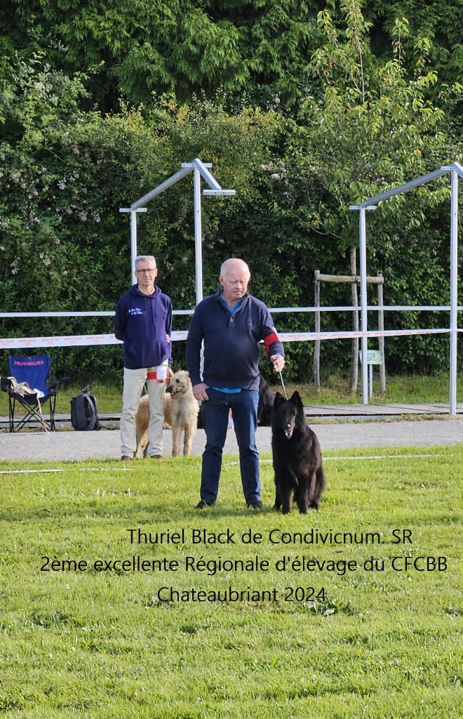 CH. Thuriel black De condivicnum