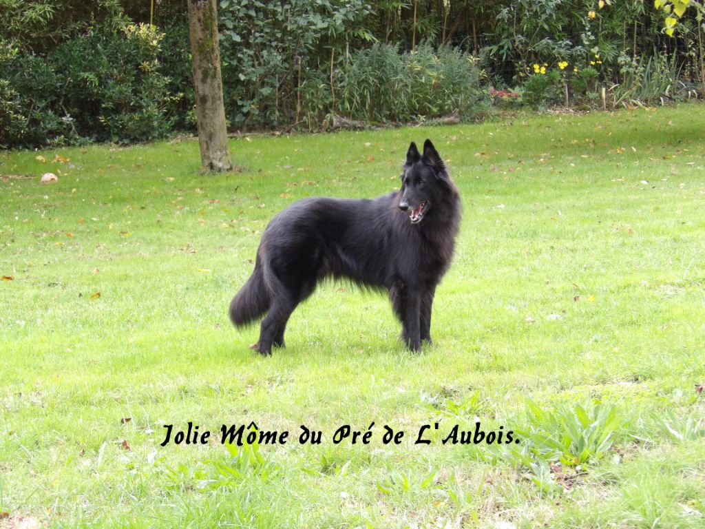 Jolie môme dite jade du pré de l'aubois