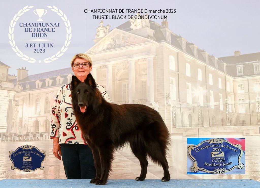 Thuriel black de condivicnium