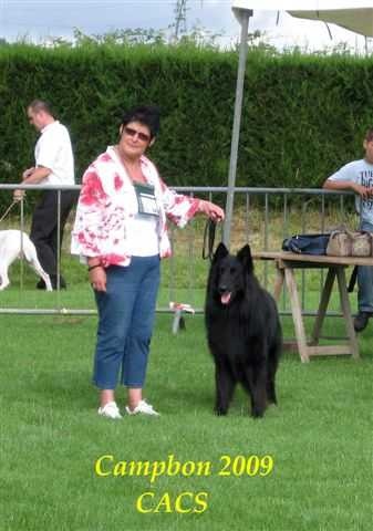 Vigor De condivicnum - Meilleur de race CACS 1er excellent