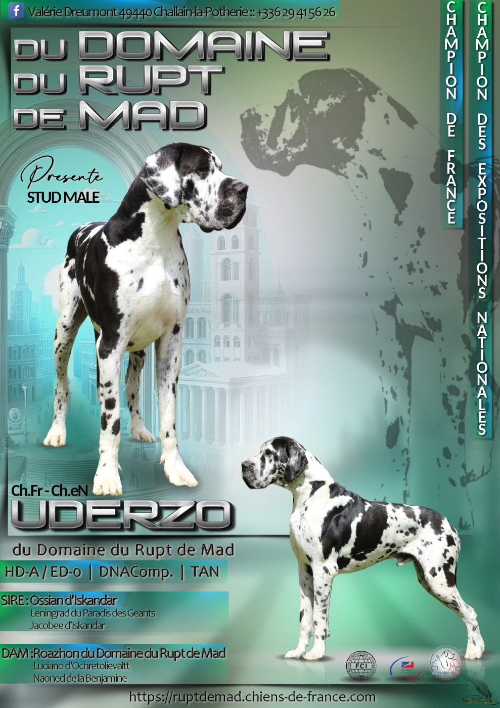 Uderzo du domaine du rupt de mad