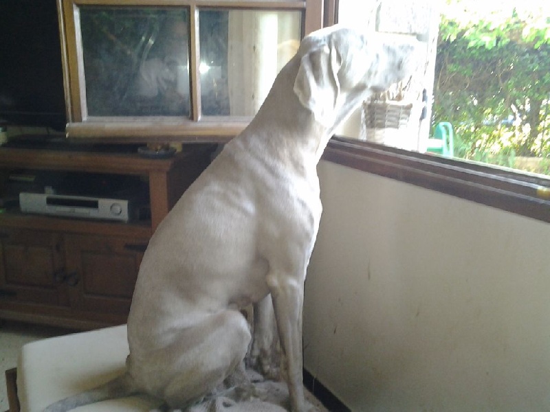 In love ailen De l'ecrin des hauts de france