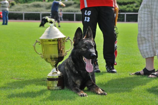 Publication : Du normont