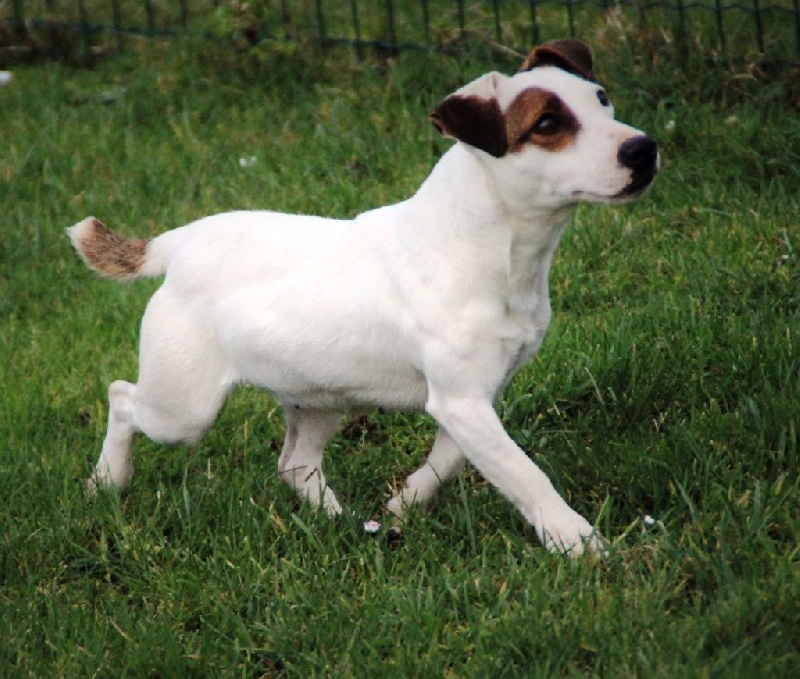 Publication : Du normont