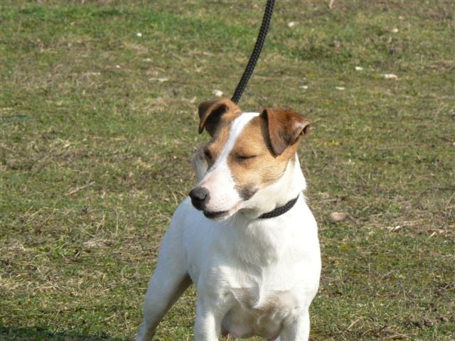 Publication : d'Edennefamily