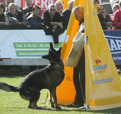 Publication : Du normont