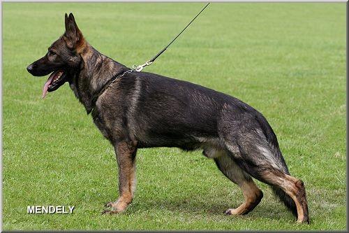 Publication : Du normont