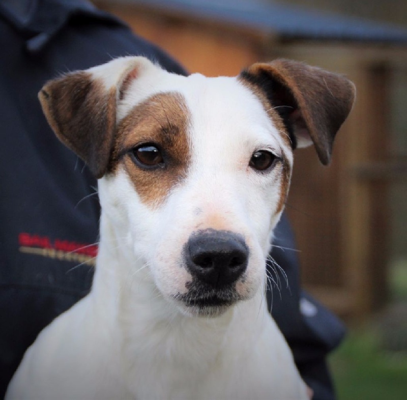 Publication : Du normont