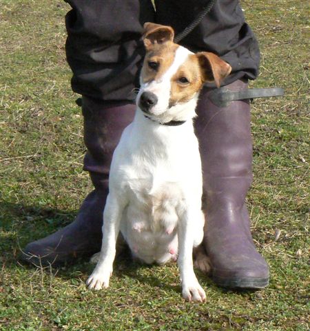 Publication : d'Edennefamily