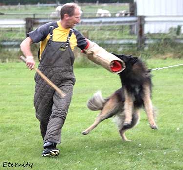Publication : de l'Orée du val d'enfer Auteur : Sophie JOUANNET