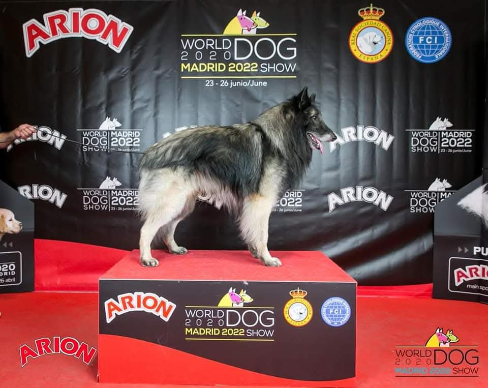 Publication : de l'Orée du val d'enfer Auteur : clavel aurore