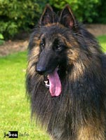 Publication : de l'Orée du val d'enfer Auteur : Sophie JOUANNET