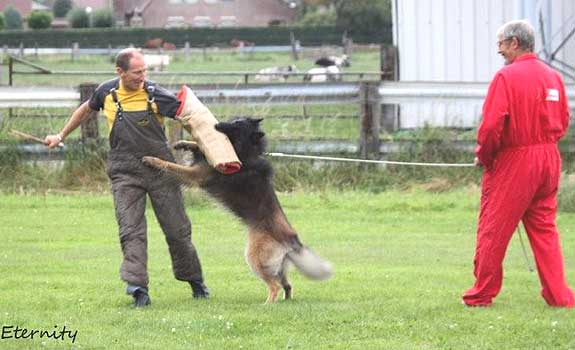 Publication : de l'Orée du val d'enfer Auteur : Sophie JOUANNET