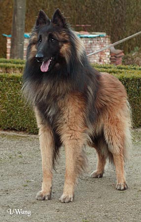 Publication : de l'Orée du val d'enfer Auteur : Sophie JOUANNET