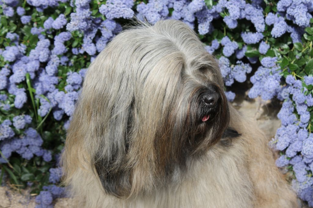 Publication : de l'Empire de Mistral